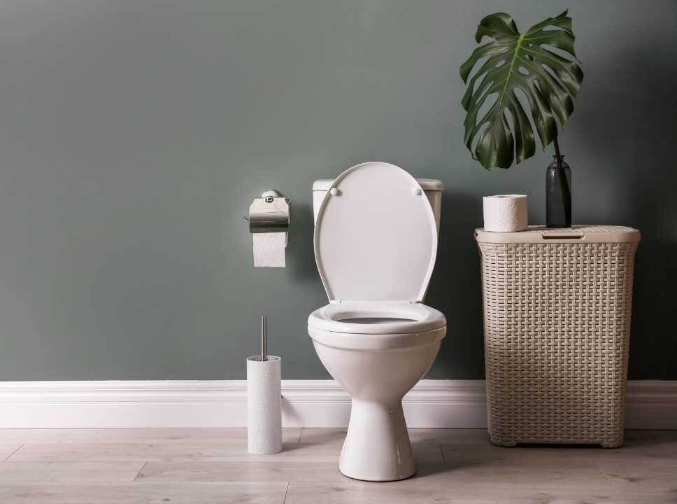 toilet for small bathroom