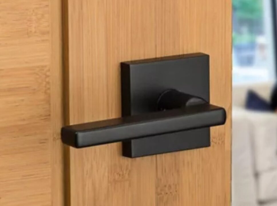 Door handle and parts