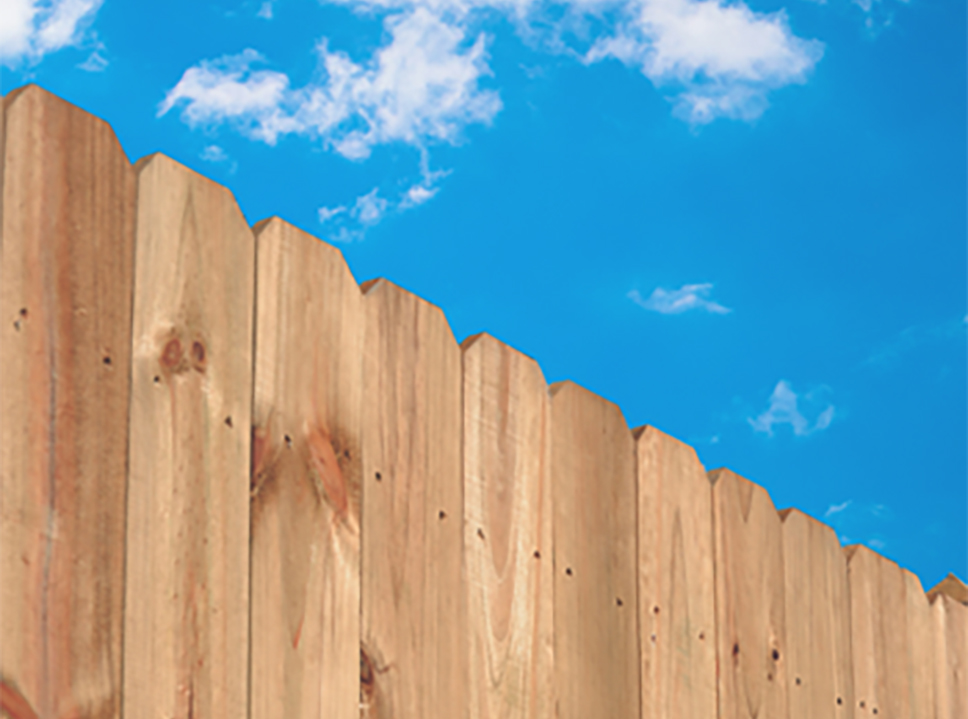 Fence_2